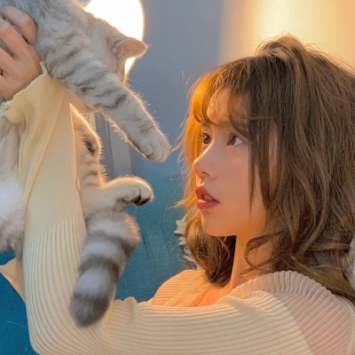 51爆料聚合平台 - 一站式访问51漫画、51网网址及免费视频内容